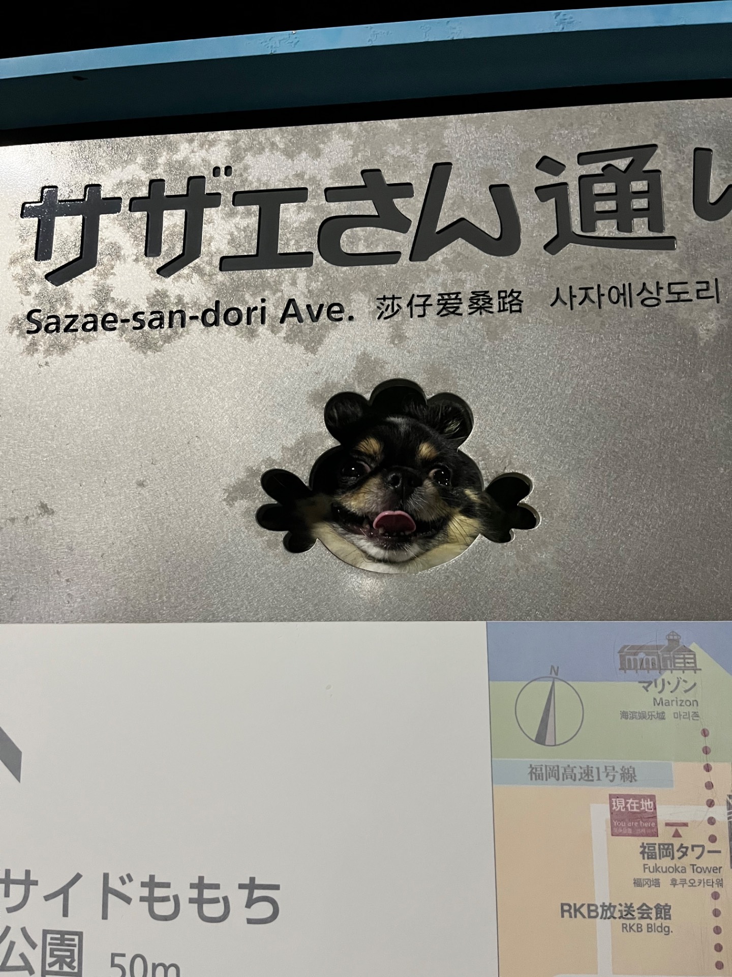 福岡市海浜公園