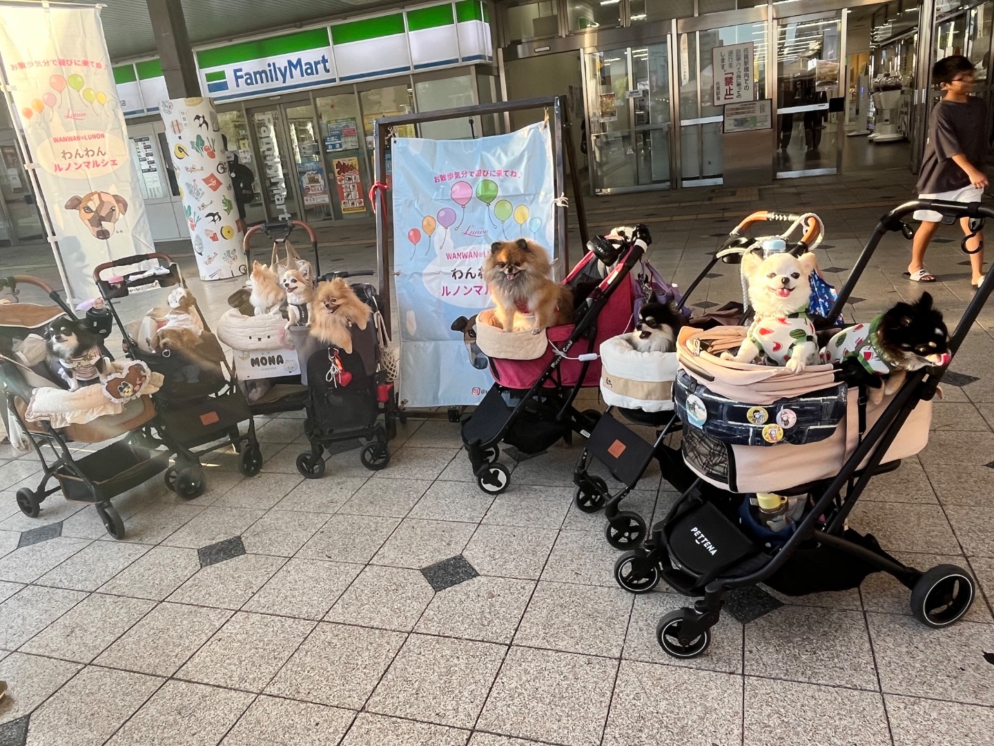 わんわんルノンマルシェ