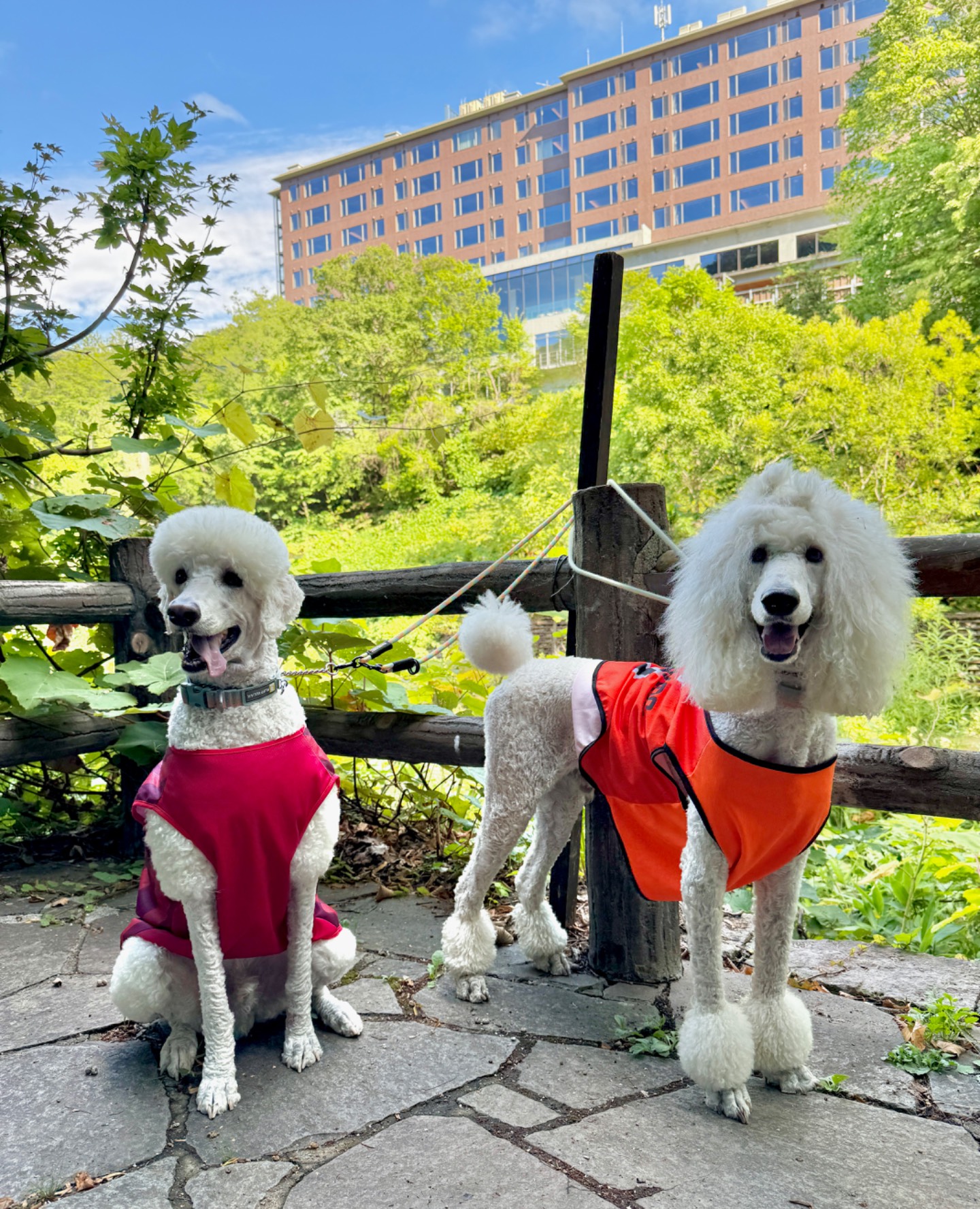 定山渓二見公園
