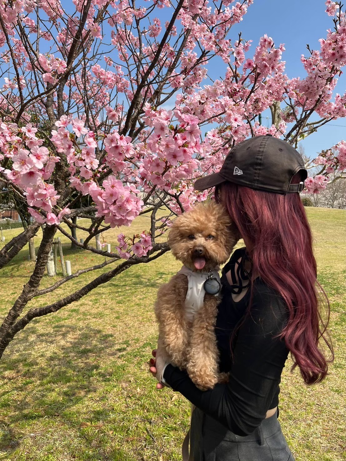 公園の一覧へ