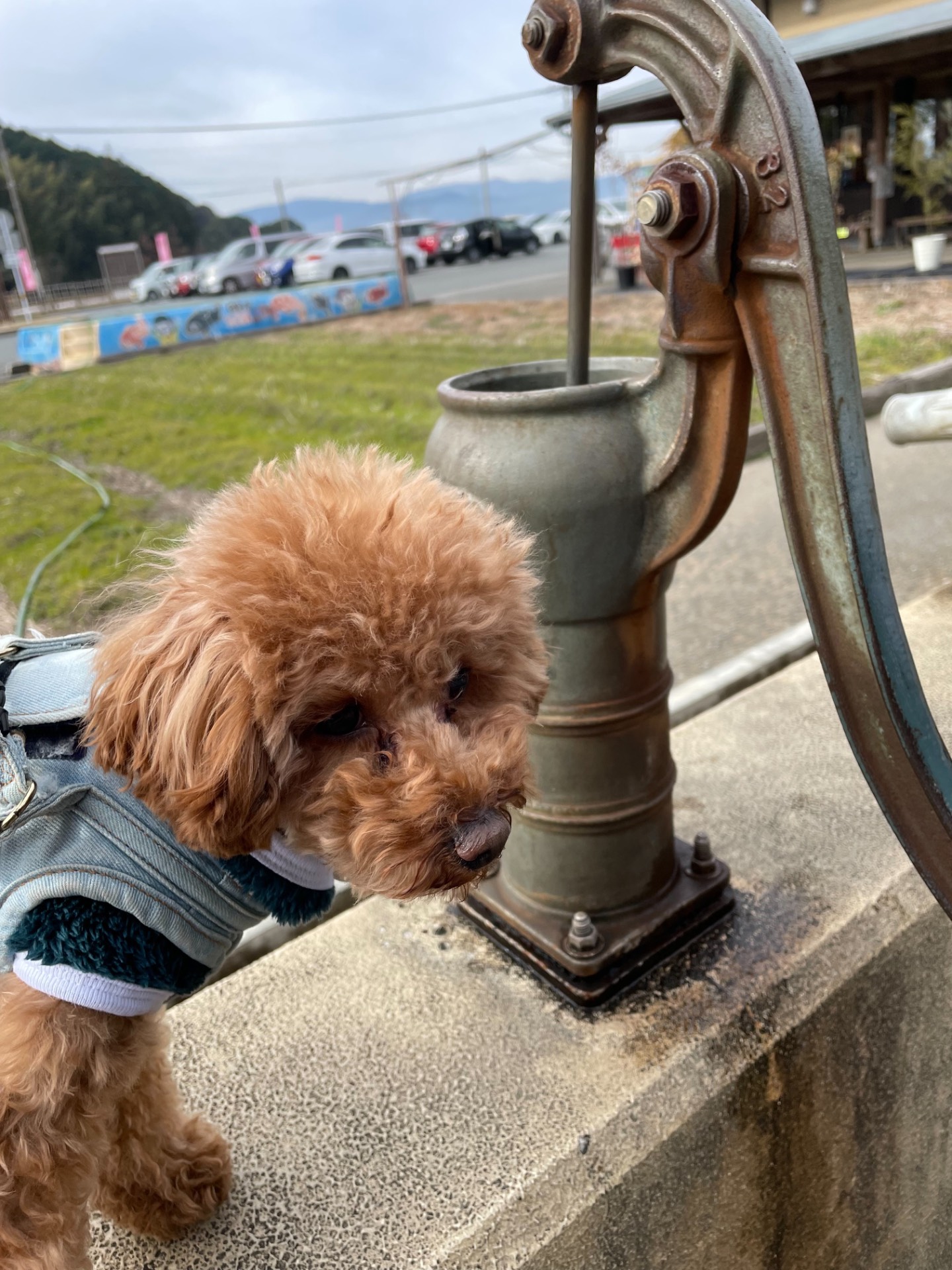 道の駅 筑前みなみの里