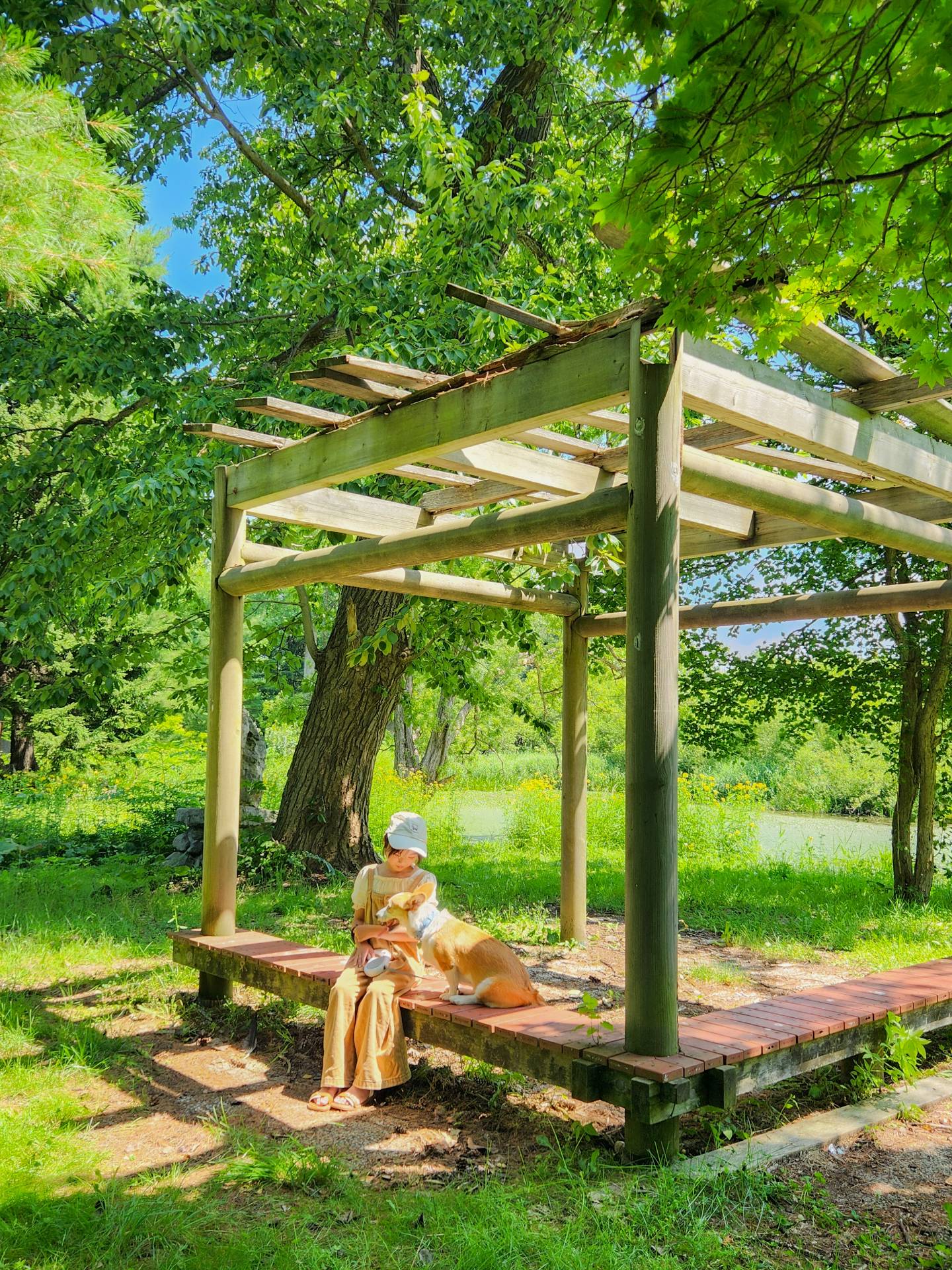 滝川公園
