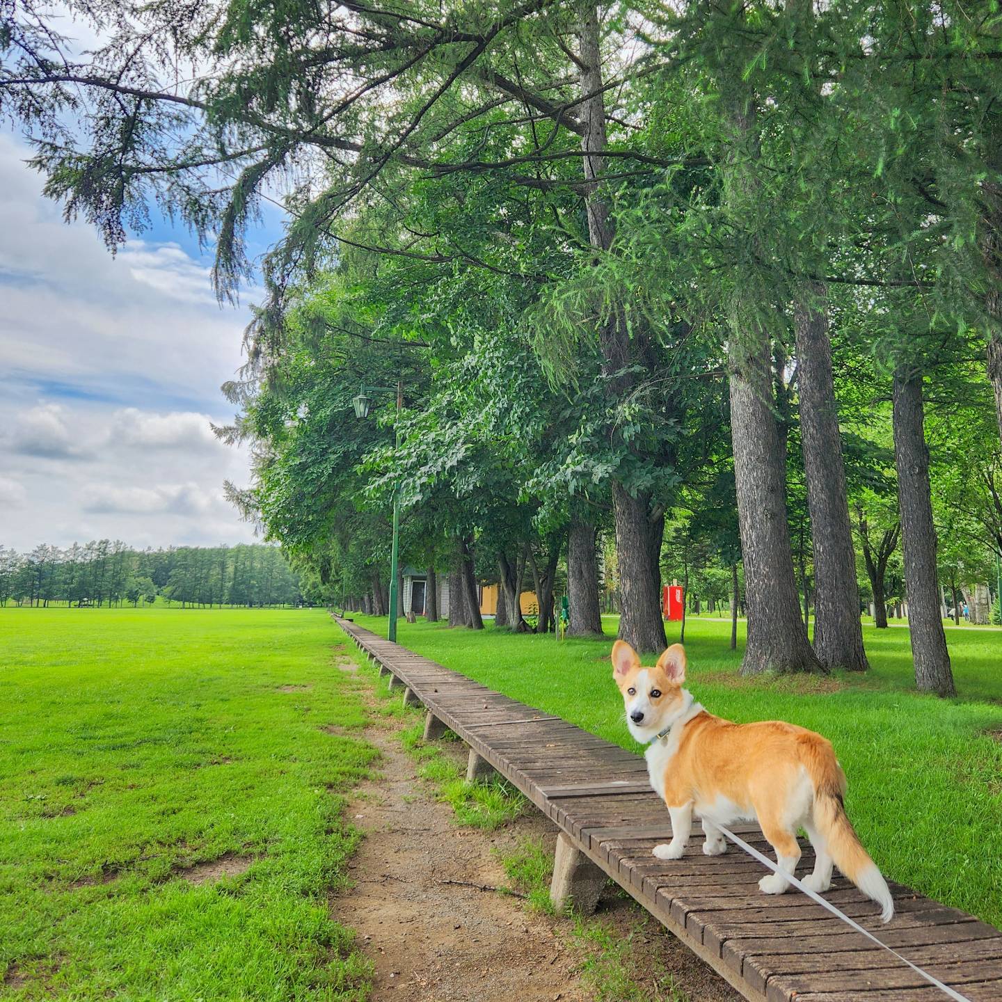 公園の一覧へ