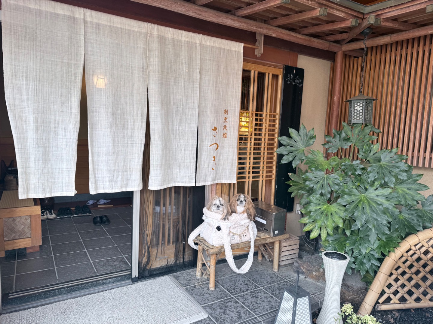 食事が美味しい源泉掛け流しの温泉宿