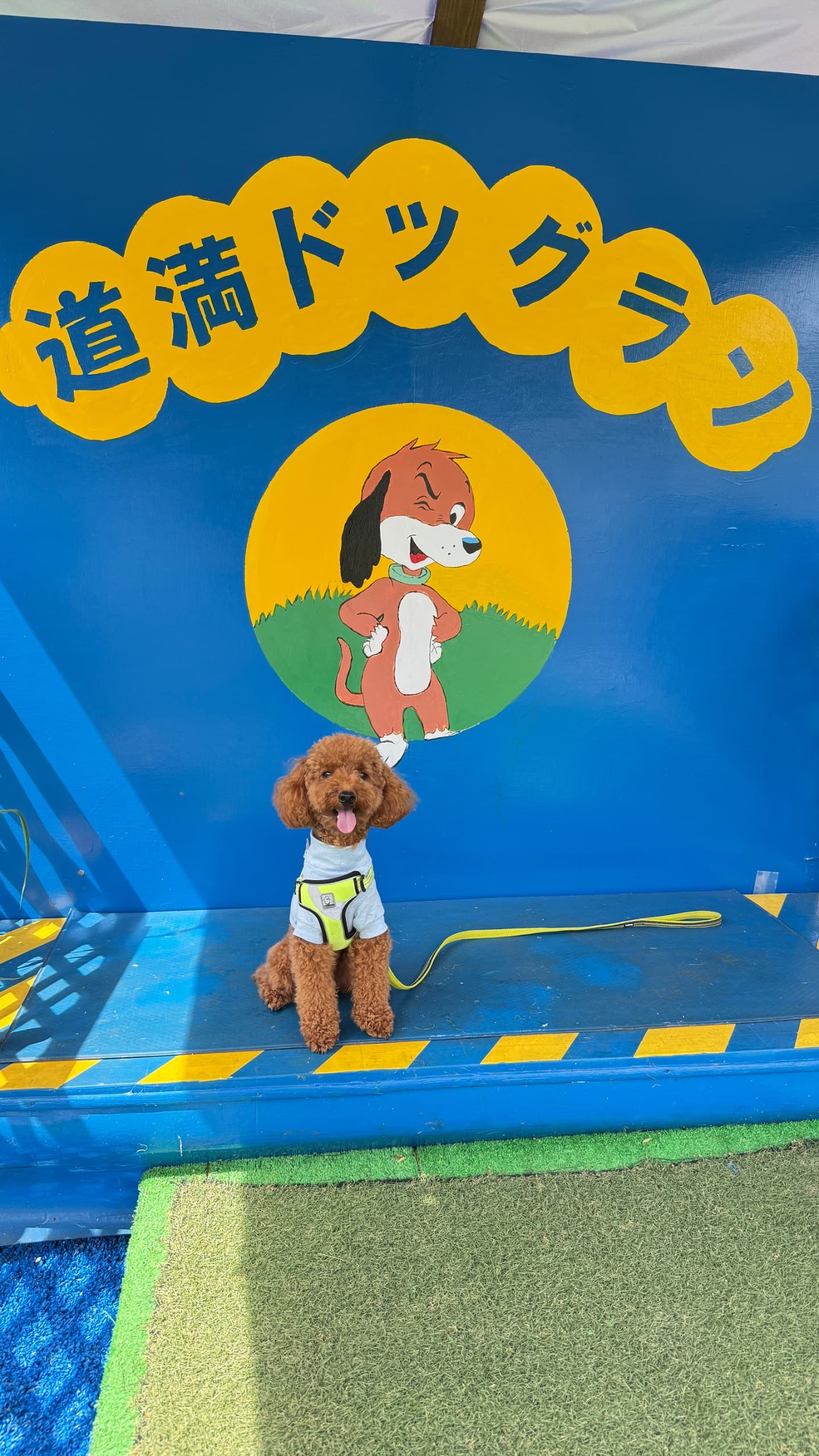 道満ドックラン