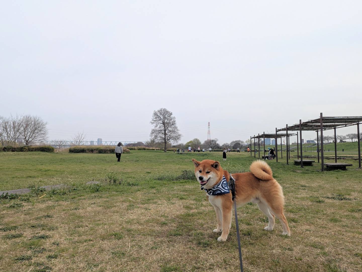柴又公園