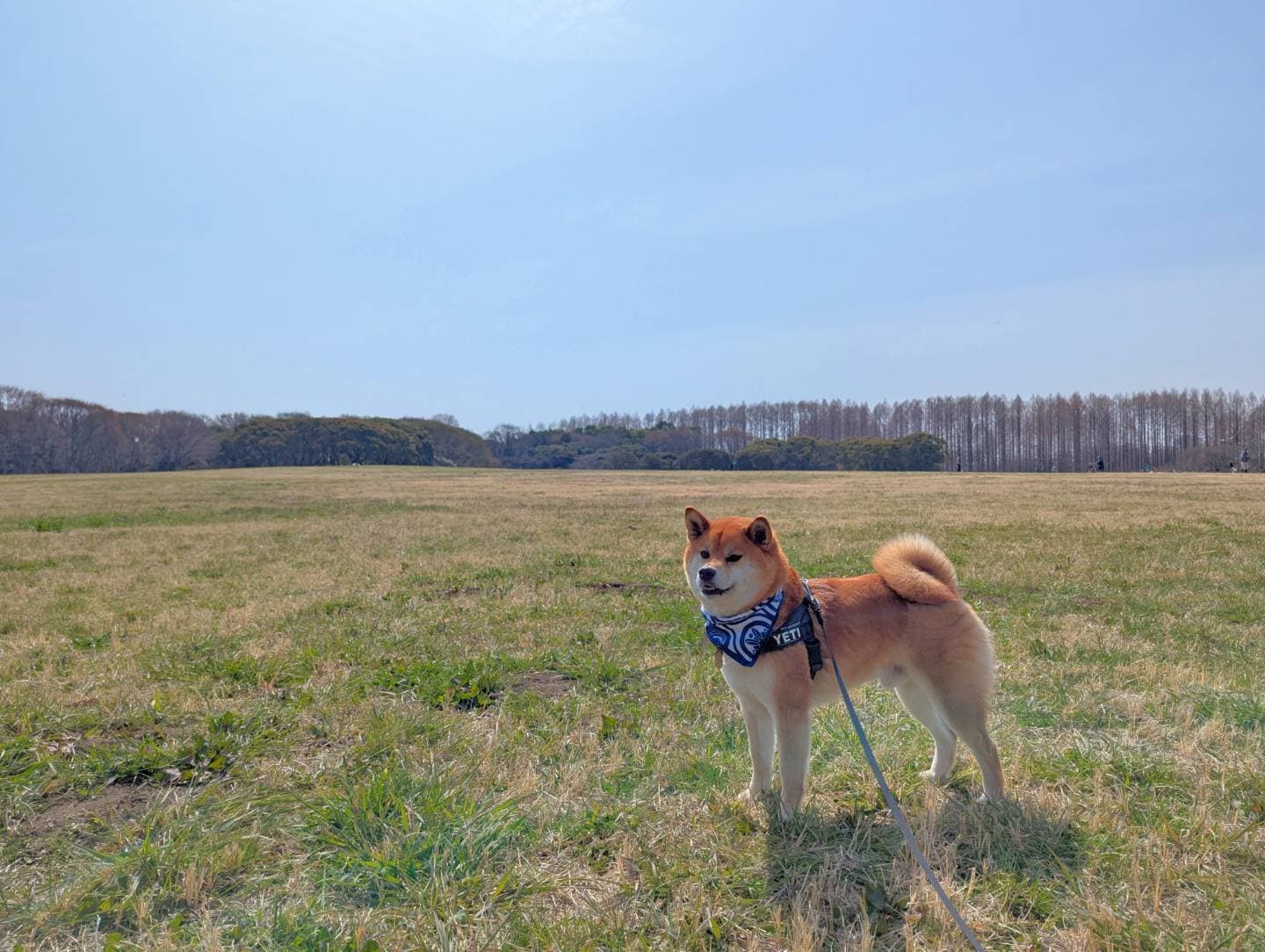 水元公園