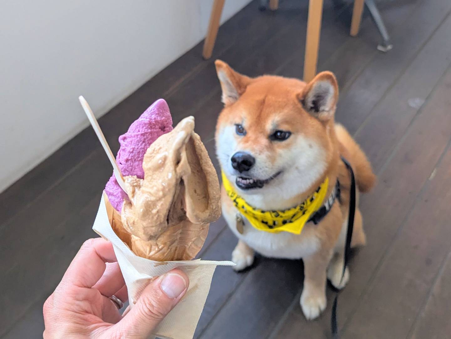 ダ ルチアーノ堀之内本店