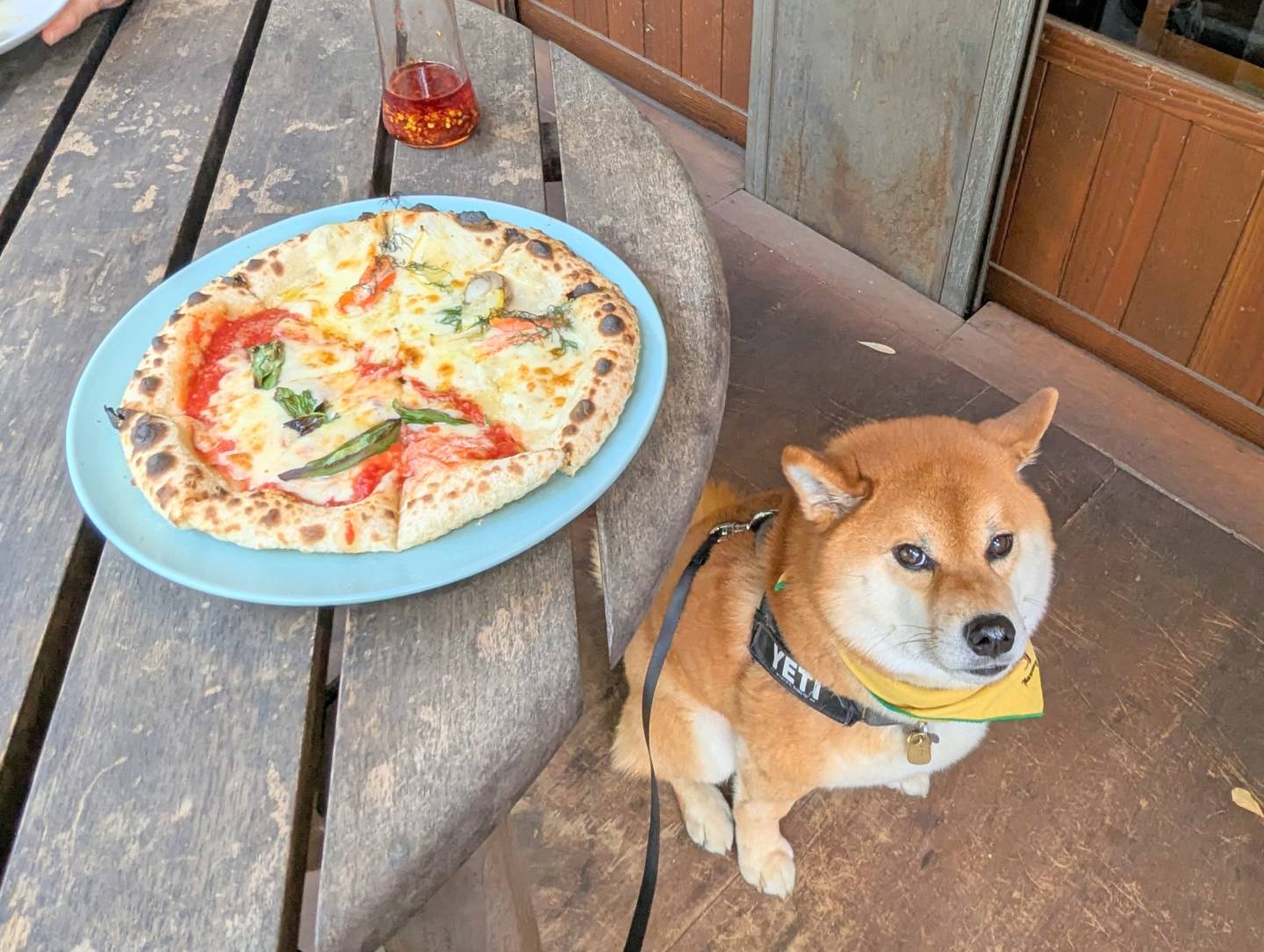 カネ保水産
