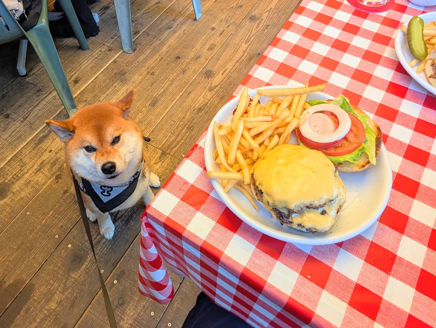 バブルオーバー