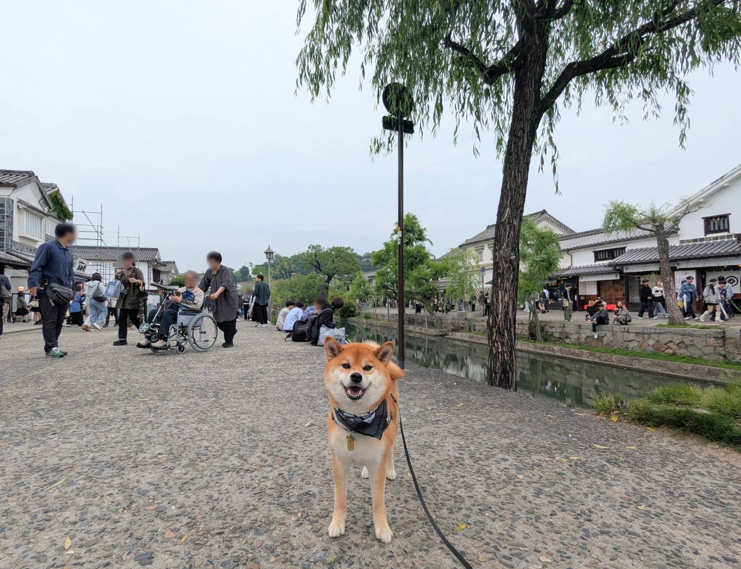 倉敷美観地区