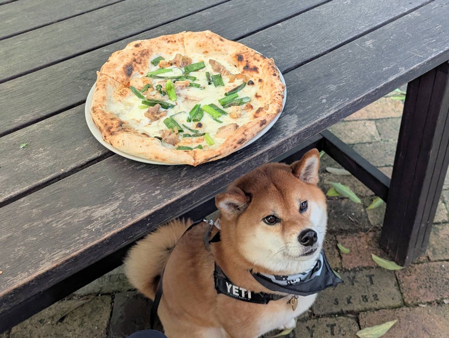 pizzeria CONO FORESTA