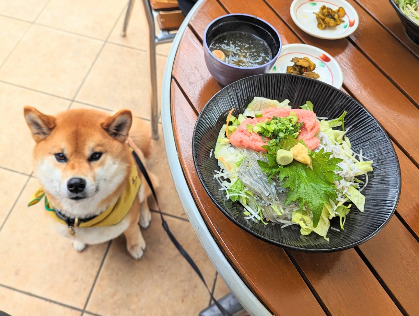 飲食店・カフェの一覧へ