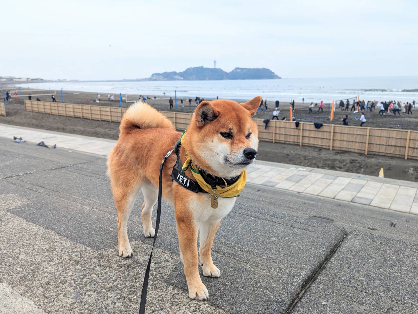 県立湘南海岸公園