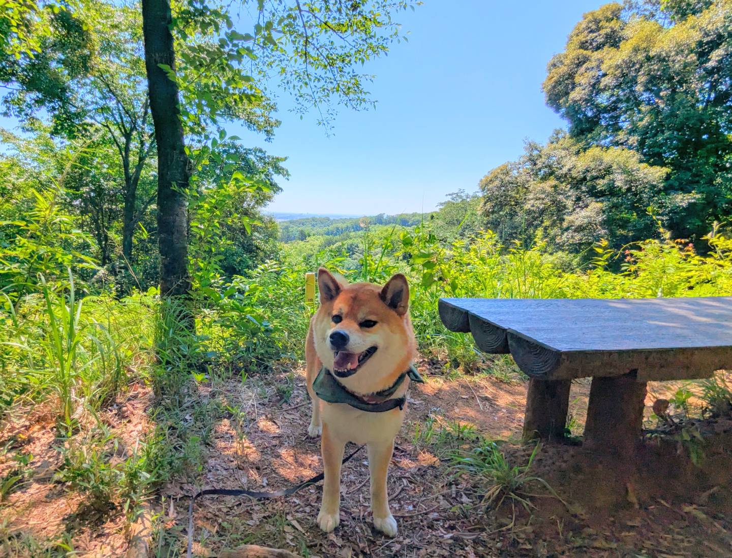 ハイキング（山、高原）の一覧へ