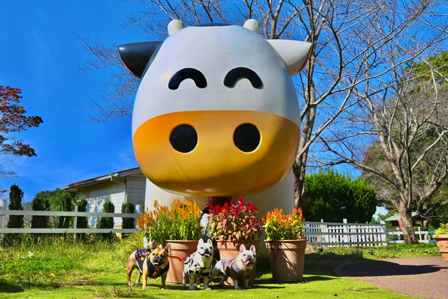 成田ゆめ牧場