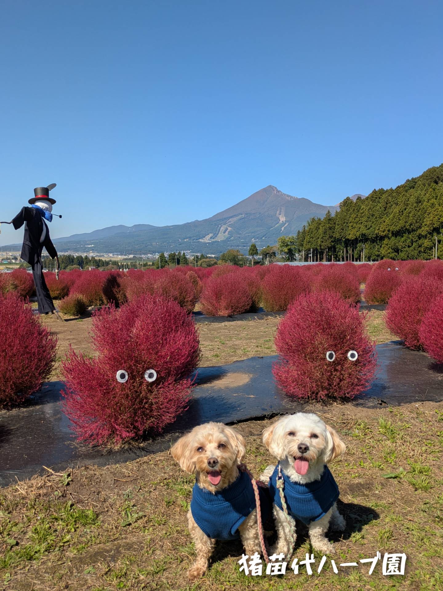 猪苗代ハーブ園