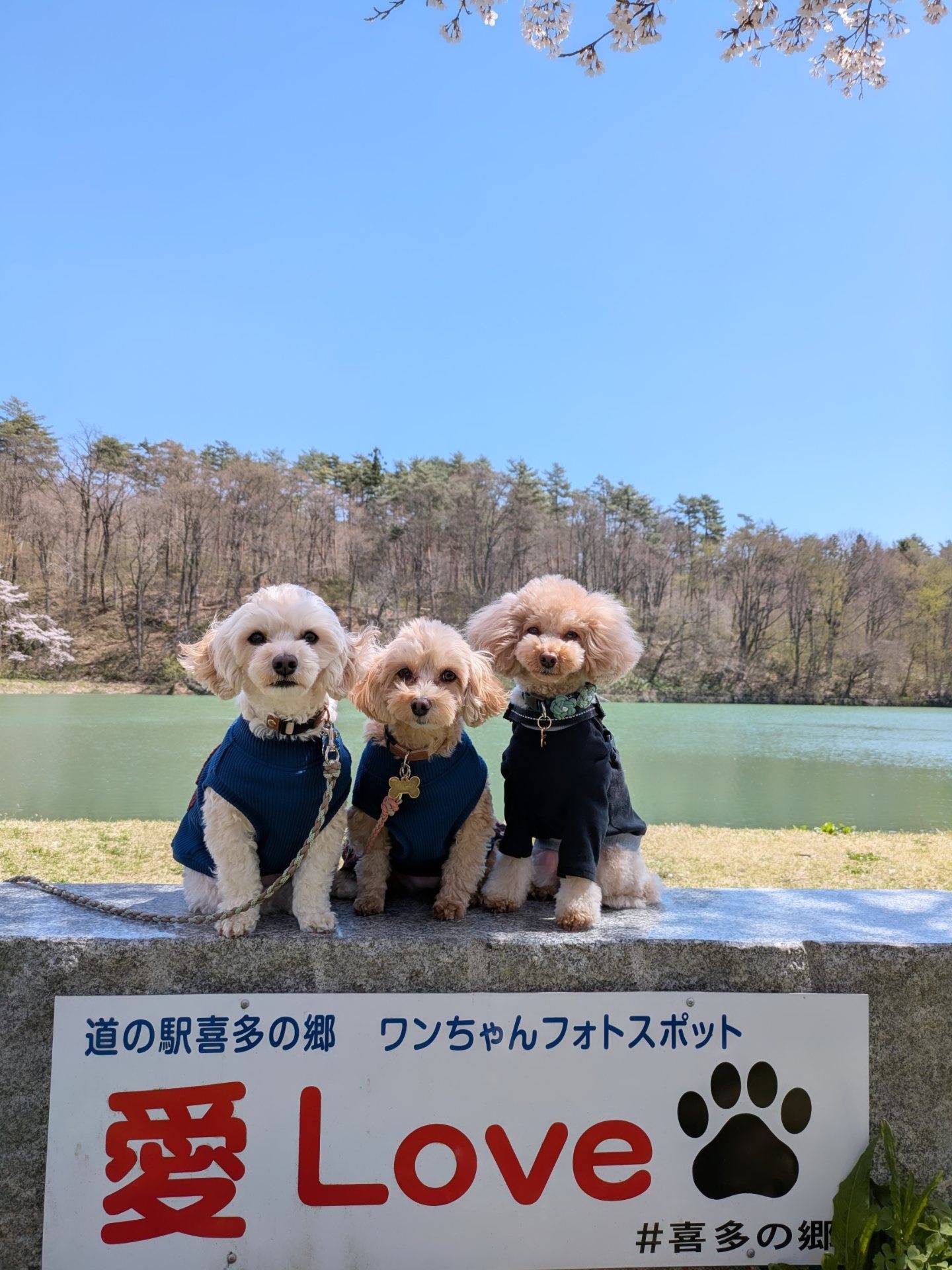 道の駅喜多の郷