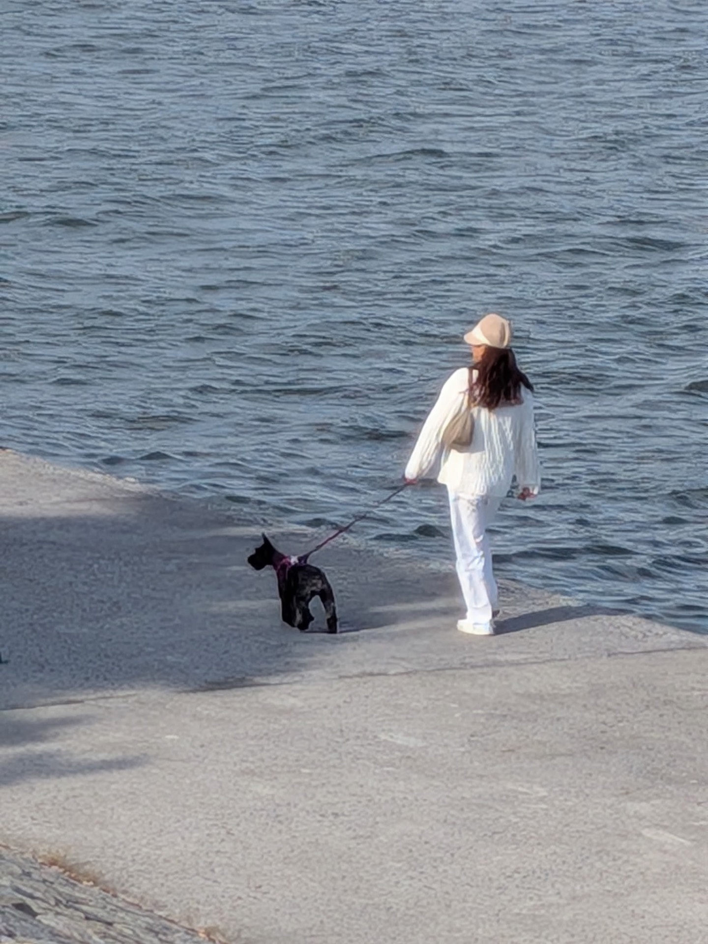 みずとりの浜公園．