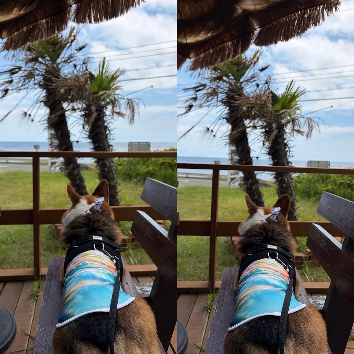 鵜ノ崎テラス