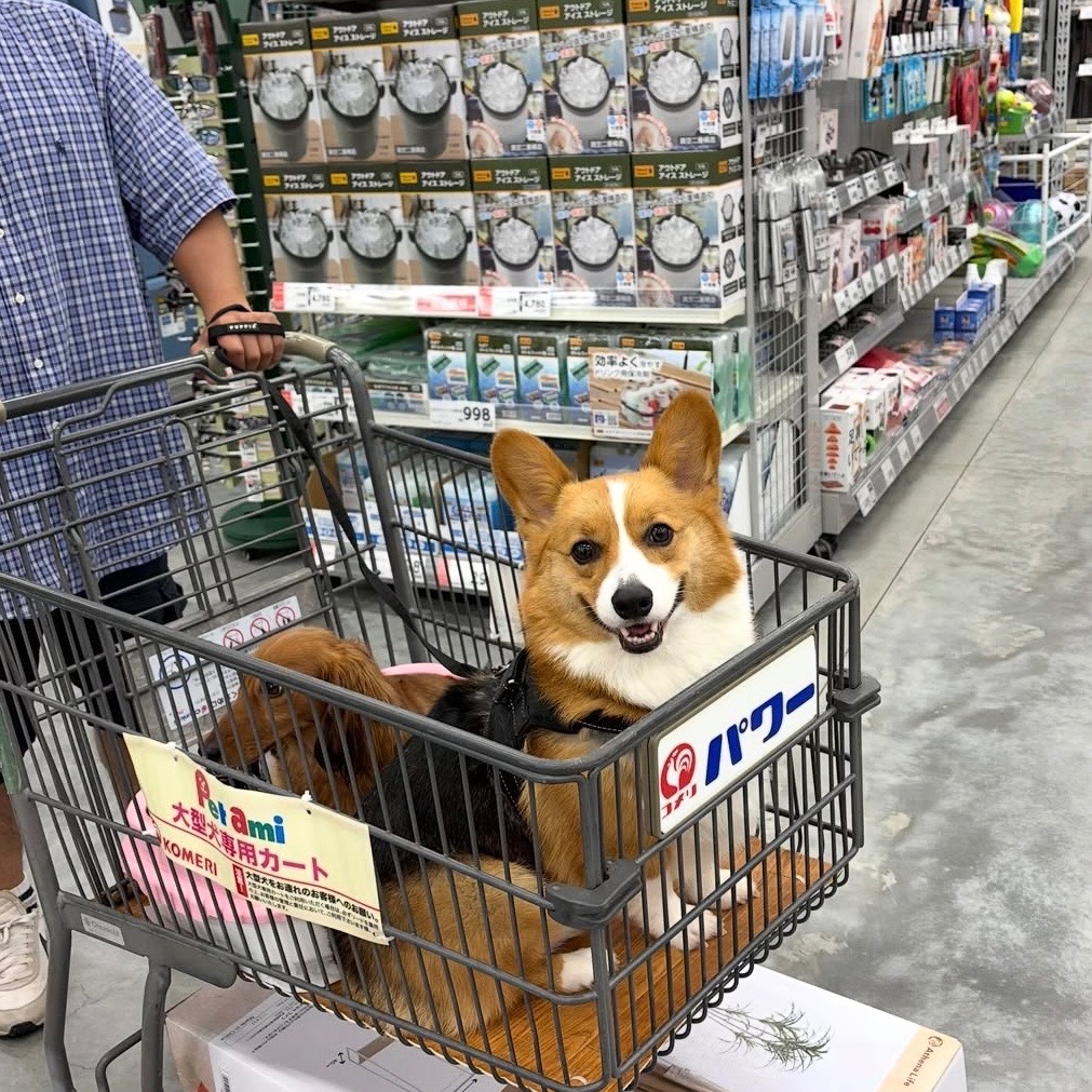 カメラパワー　本荘インター店