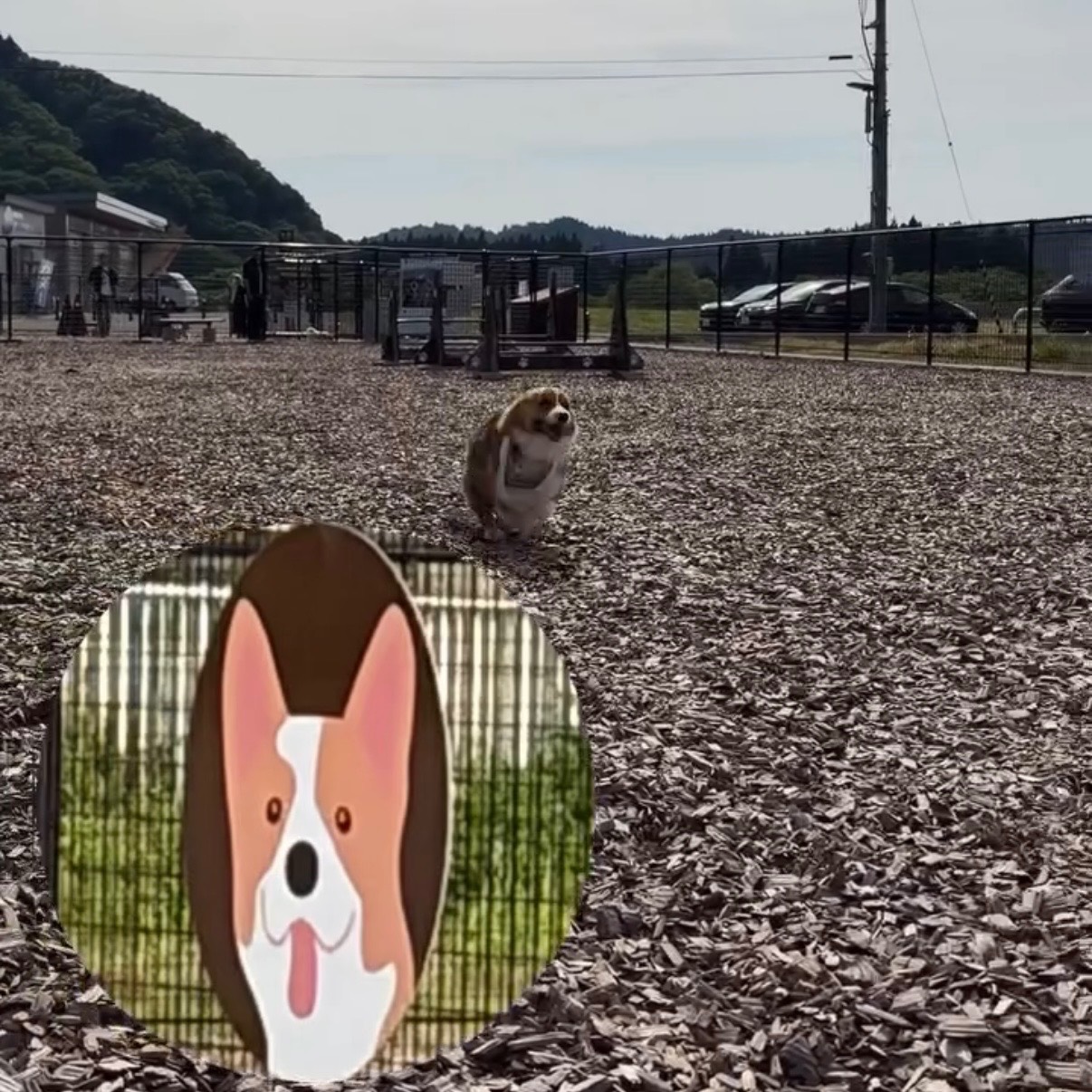 道の駅ふたつい きみまちの里