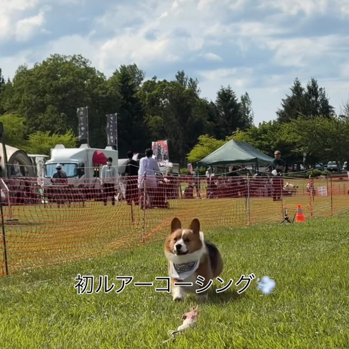 北欧の杜公園
