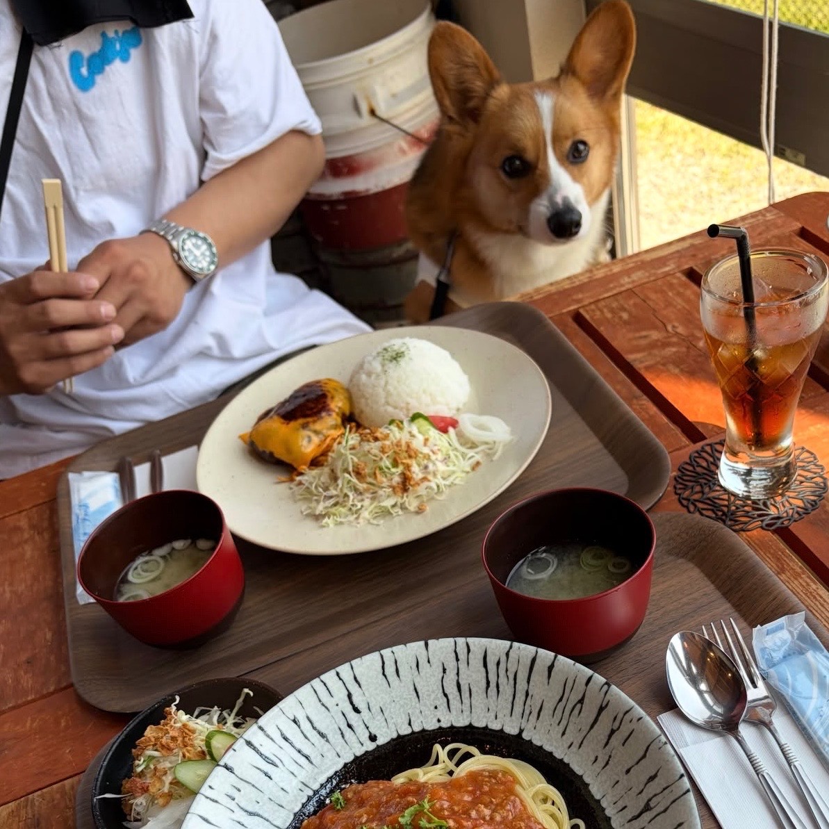 CAFE食堂 つばき