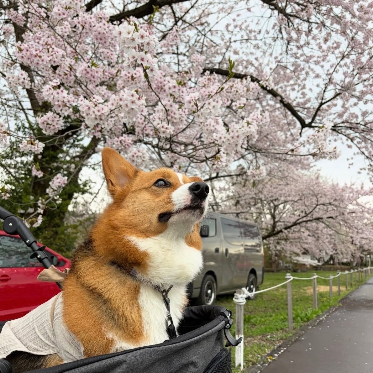 観光地の一覧へ