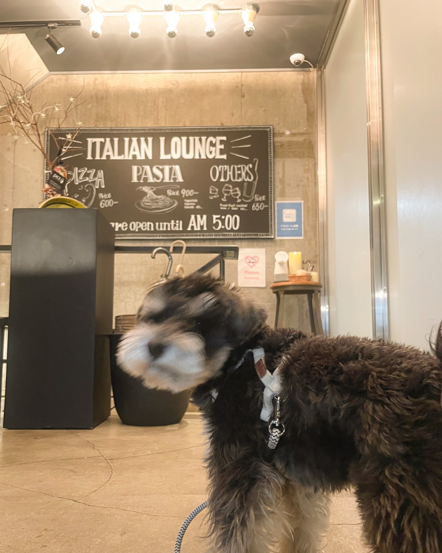 PACE ITALIAN LOUNGE