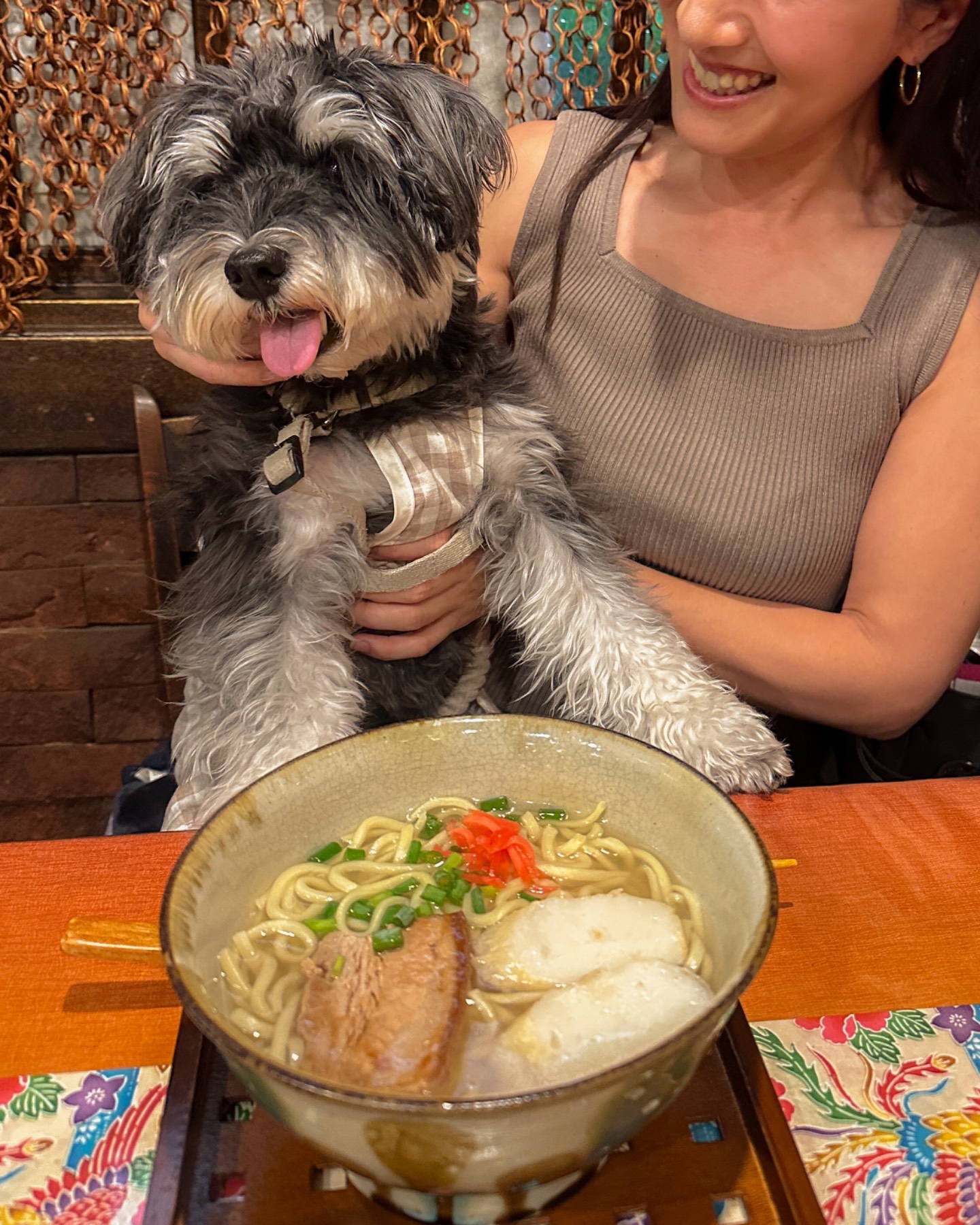 沖縄料理 しゅうずかん