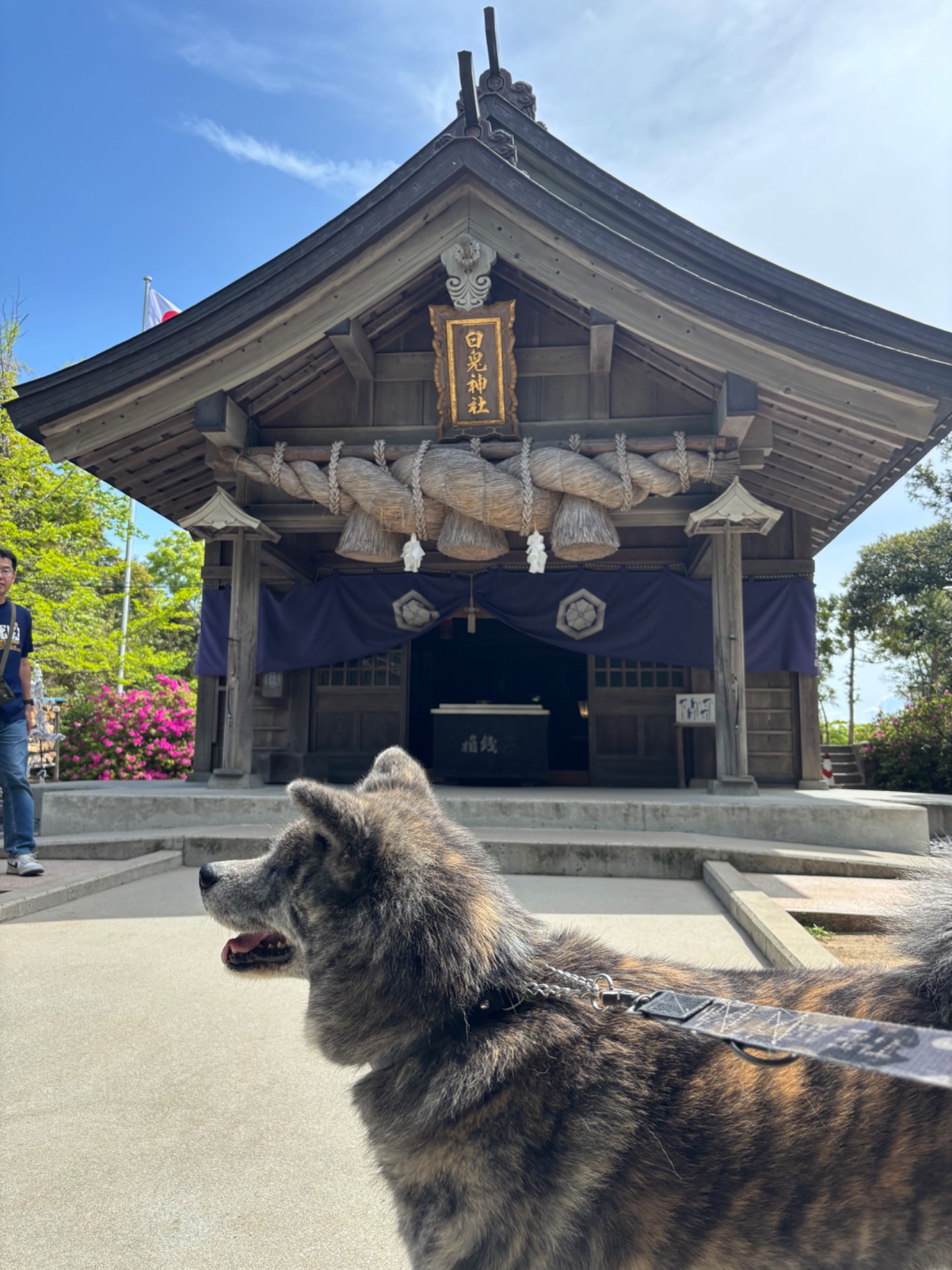 白兎神社