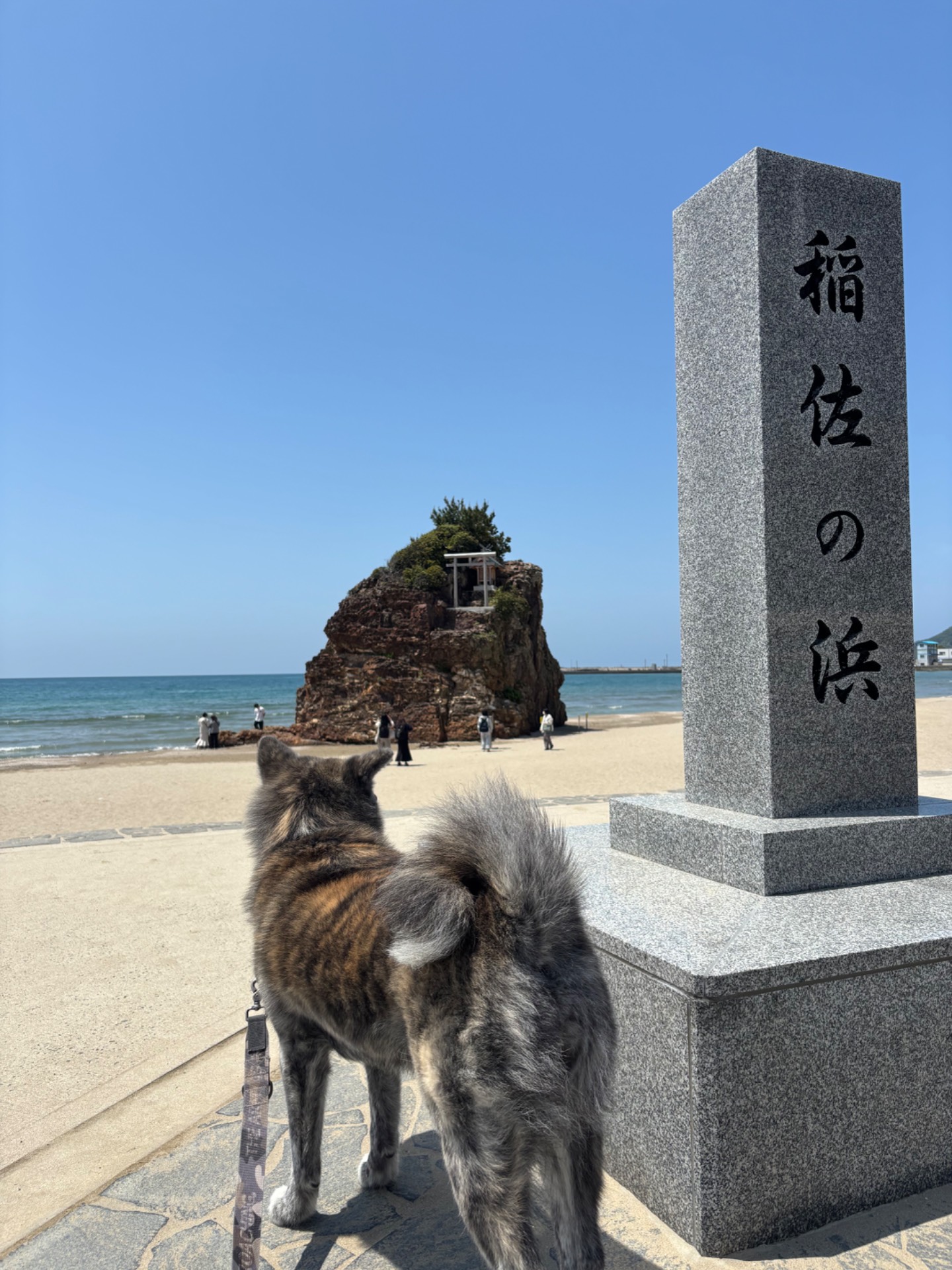 稲佐の浜