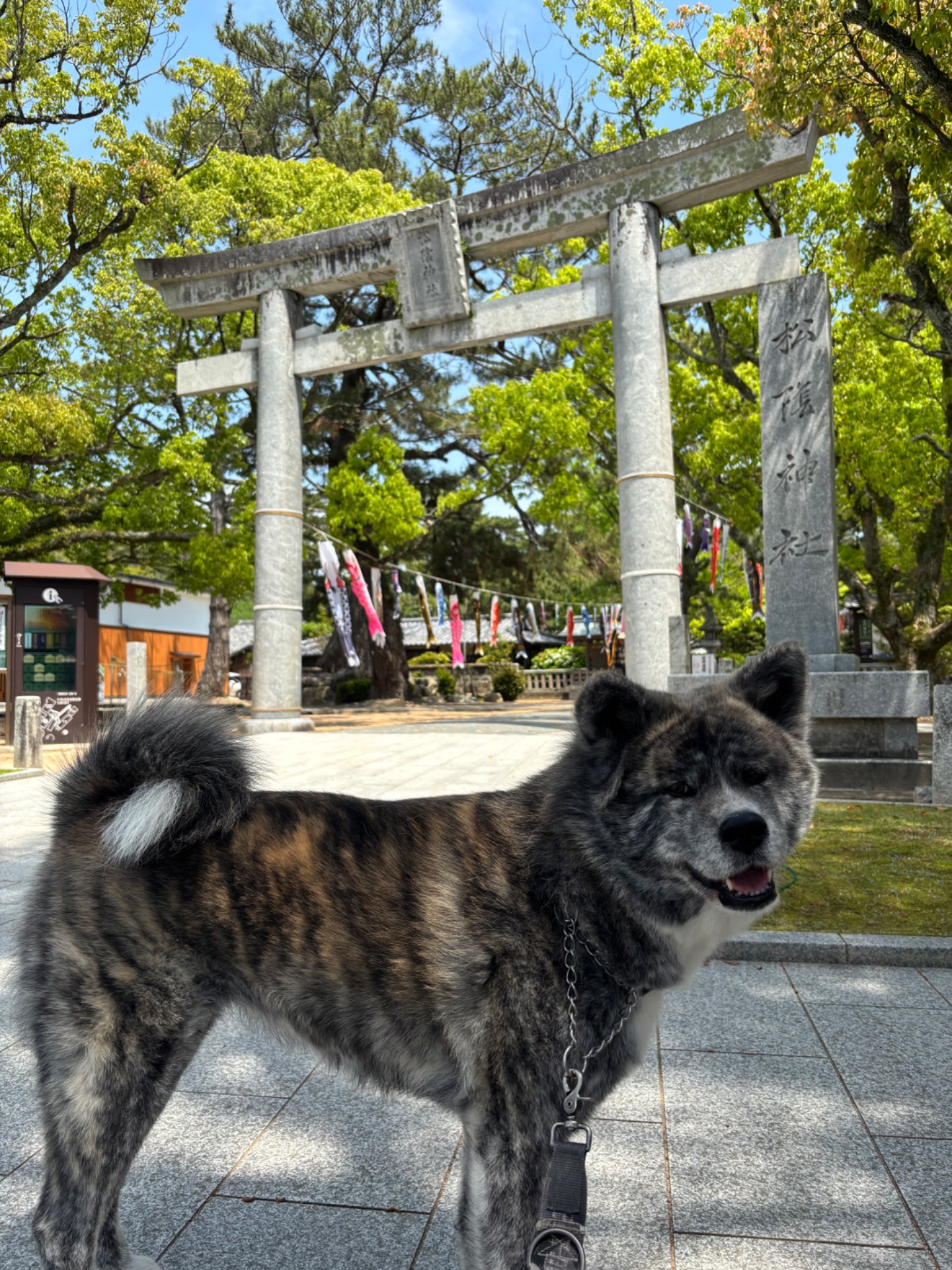 神社・仏閣の一覧へ