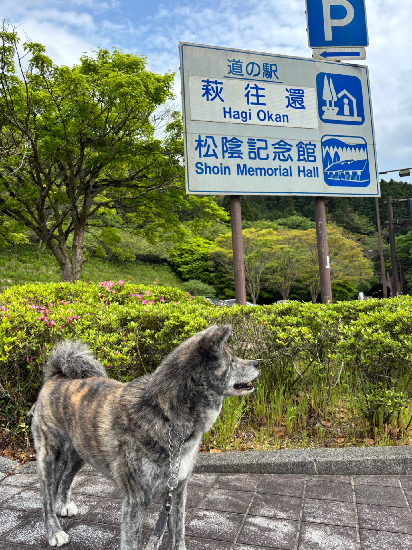 道の駅 萩往還