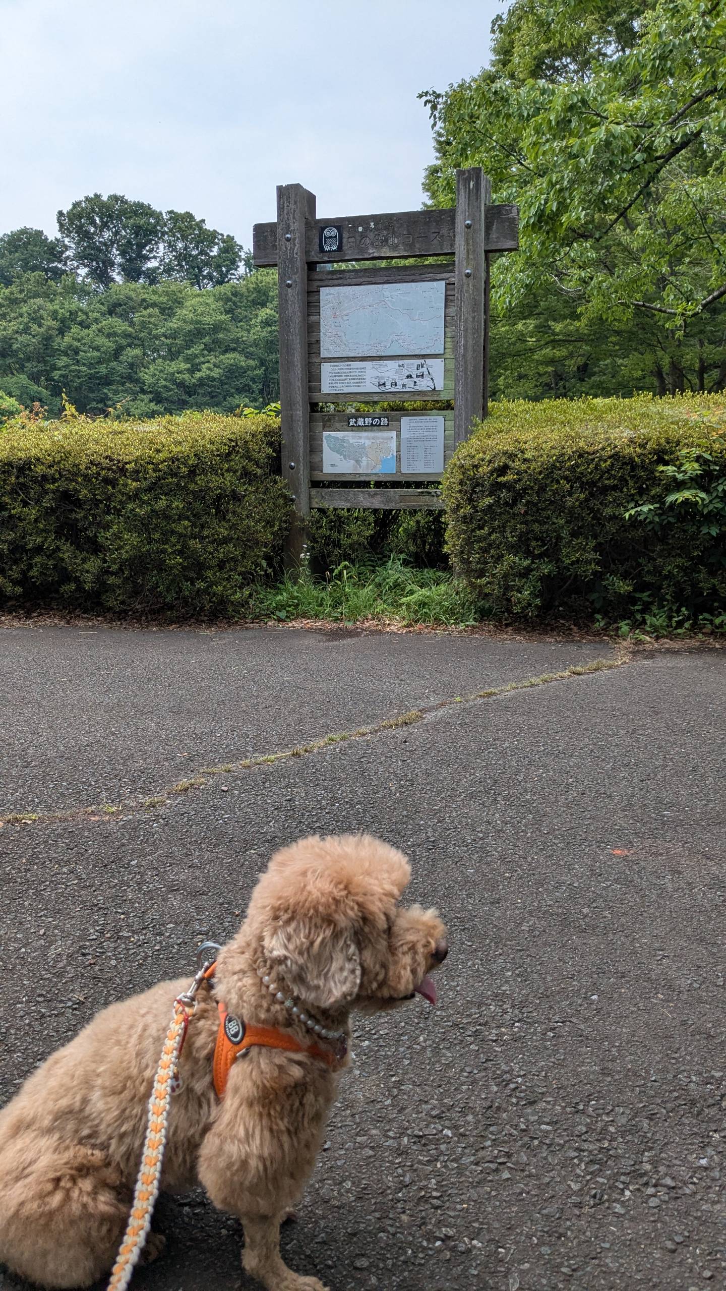 公園の一覧へ