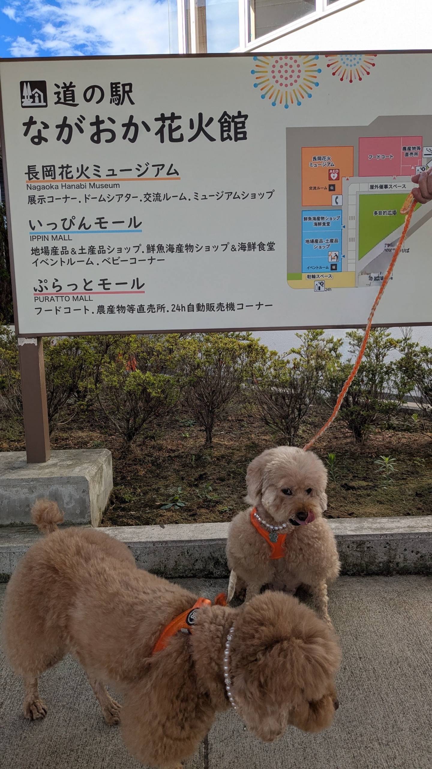 道の駅ながおか花火館