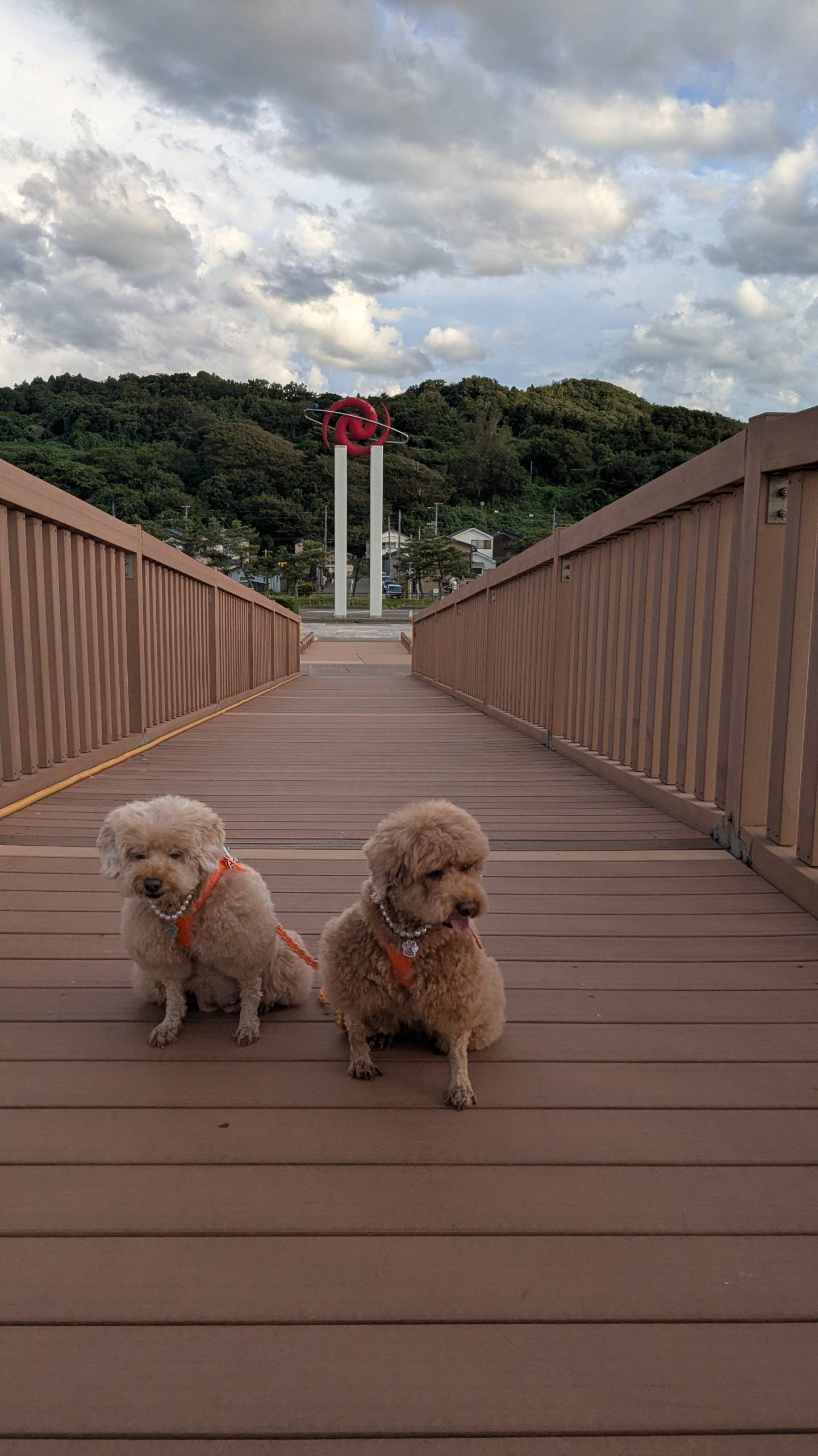 夕凪の橋