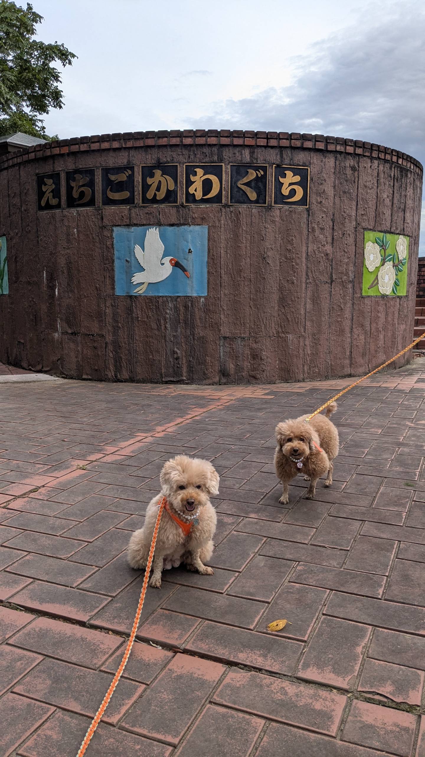 越後川口サービスエリア　上り