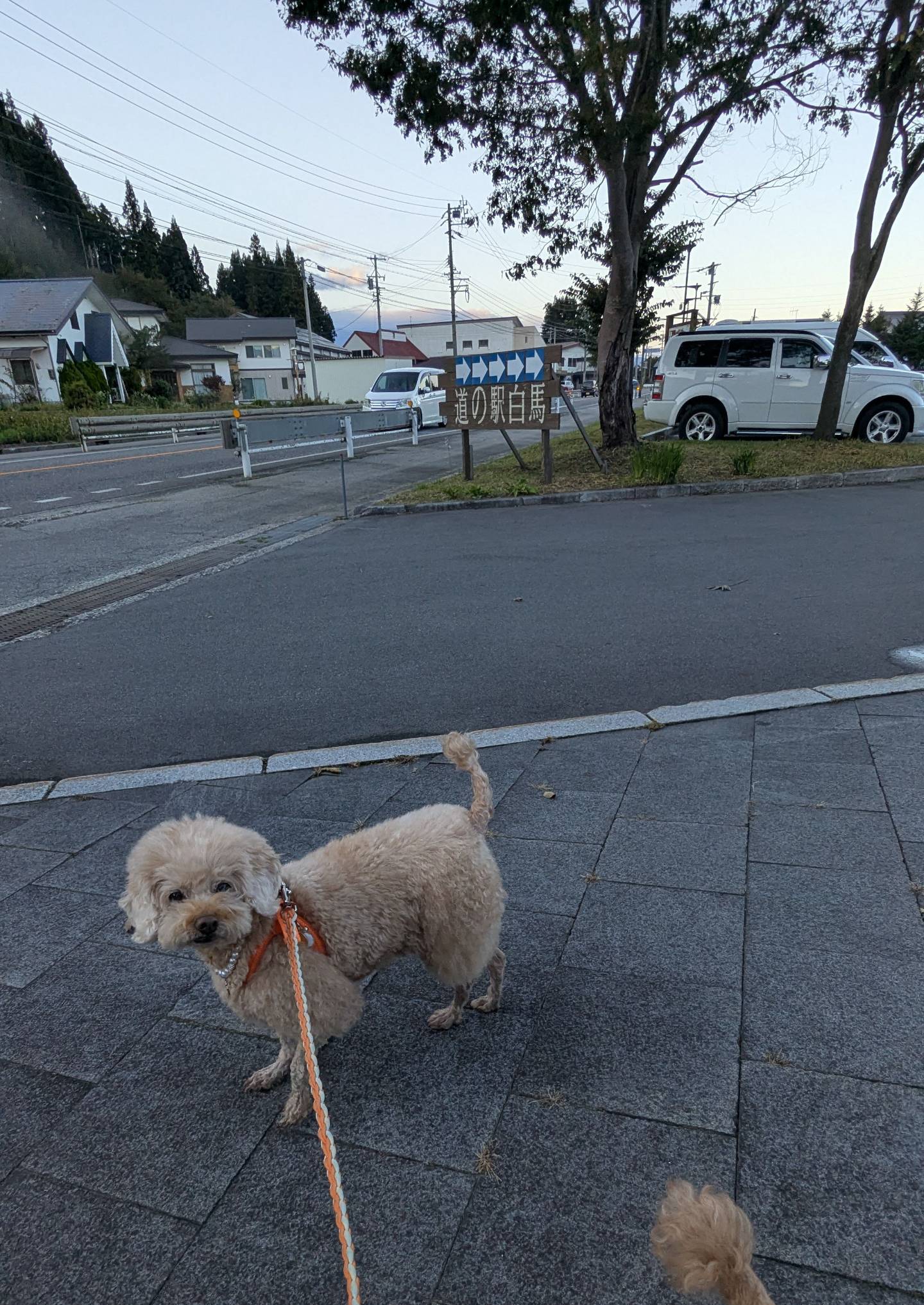 道の駅 白馬