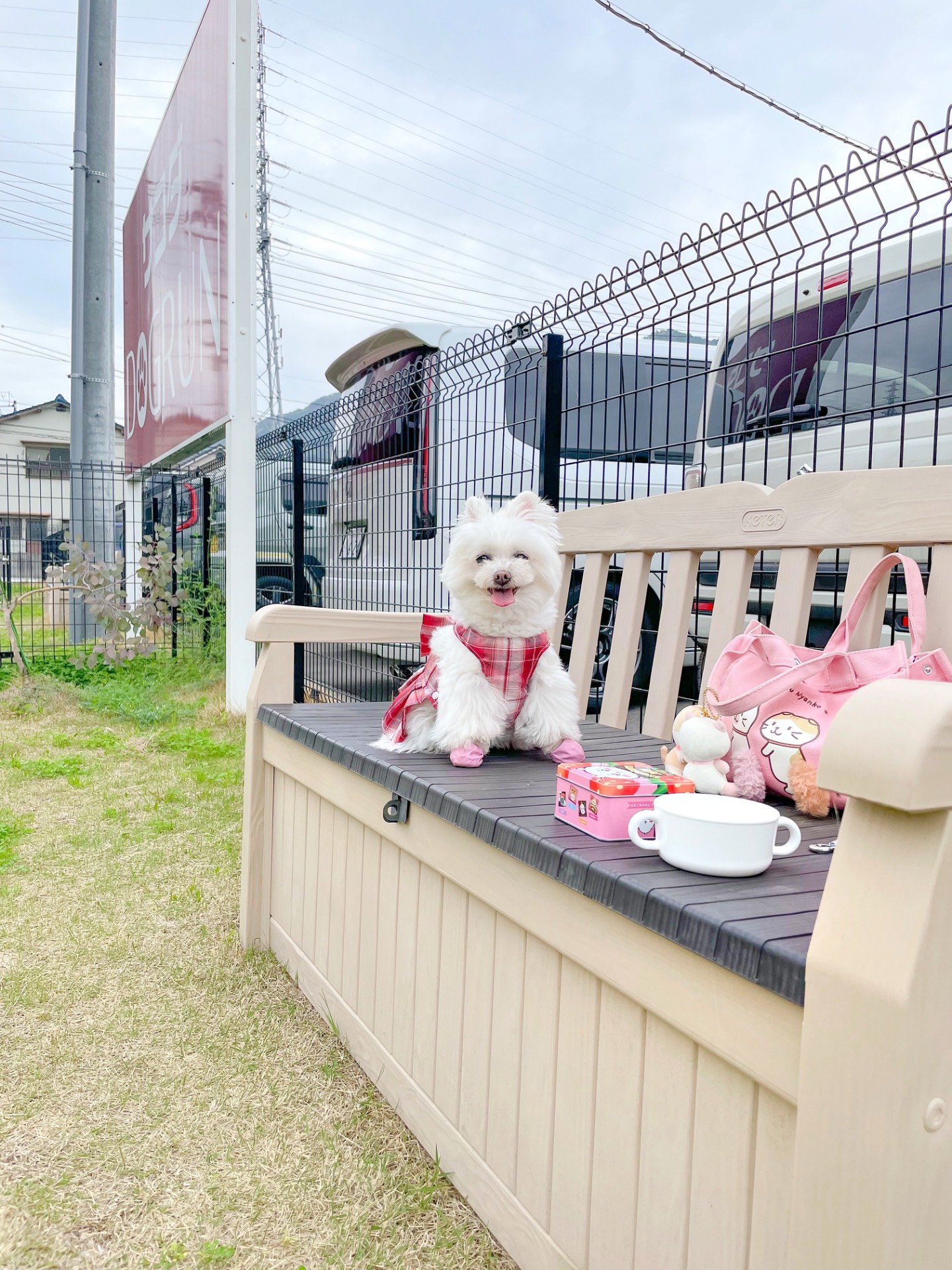 サコダ車輌海田店