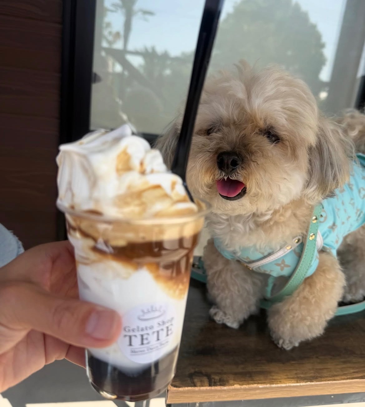 Gelato Shop TETE