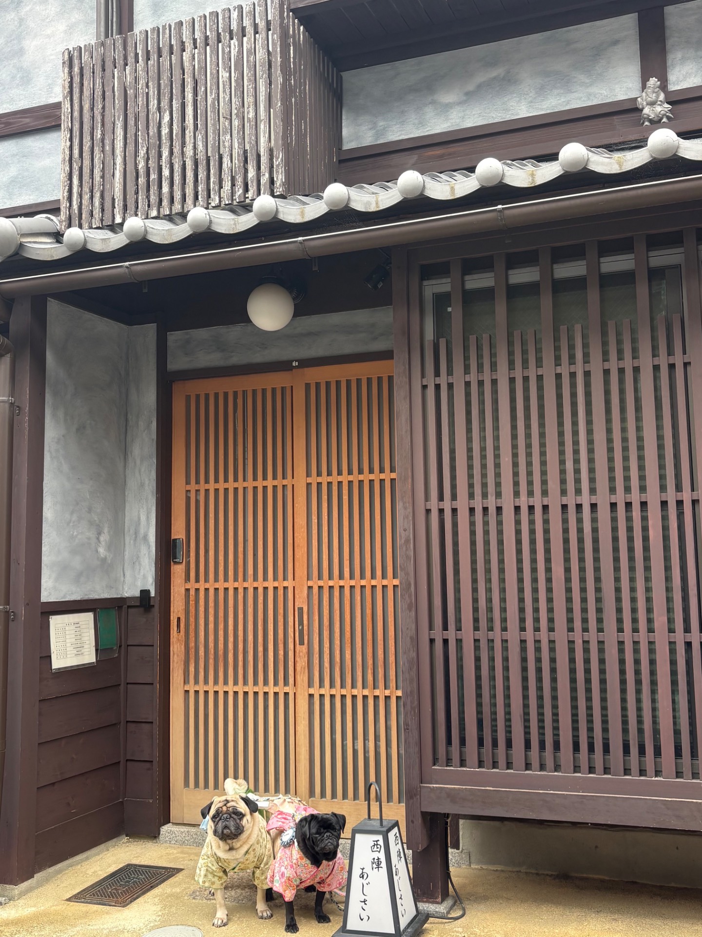 洛龍菴西陣北あじさい