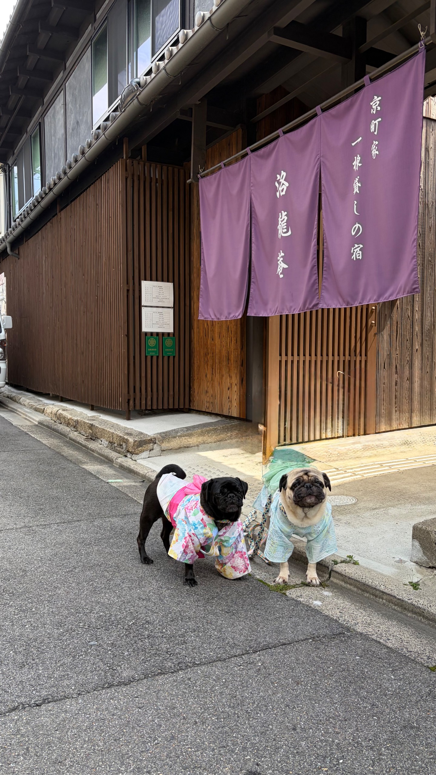 洛龍菴別邸かざみ
