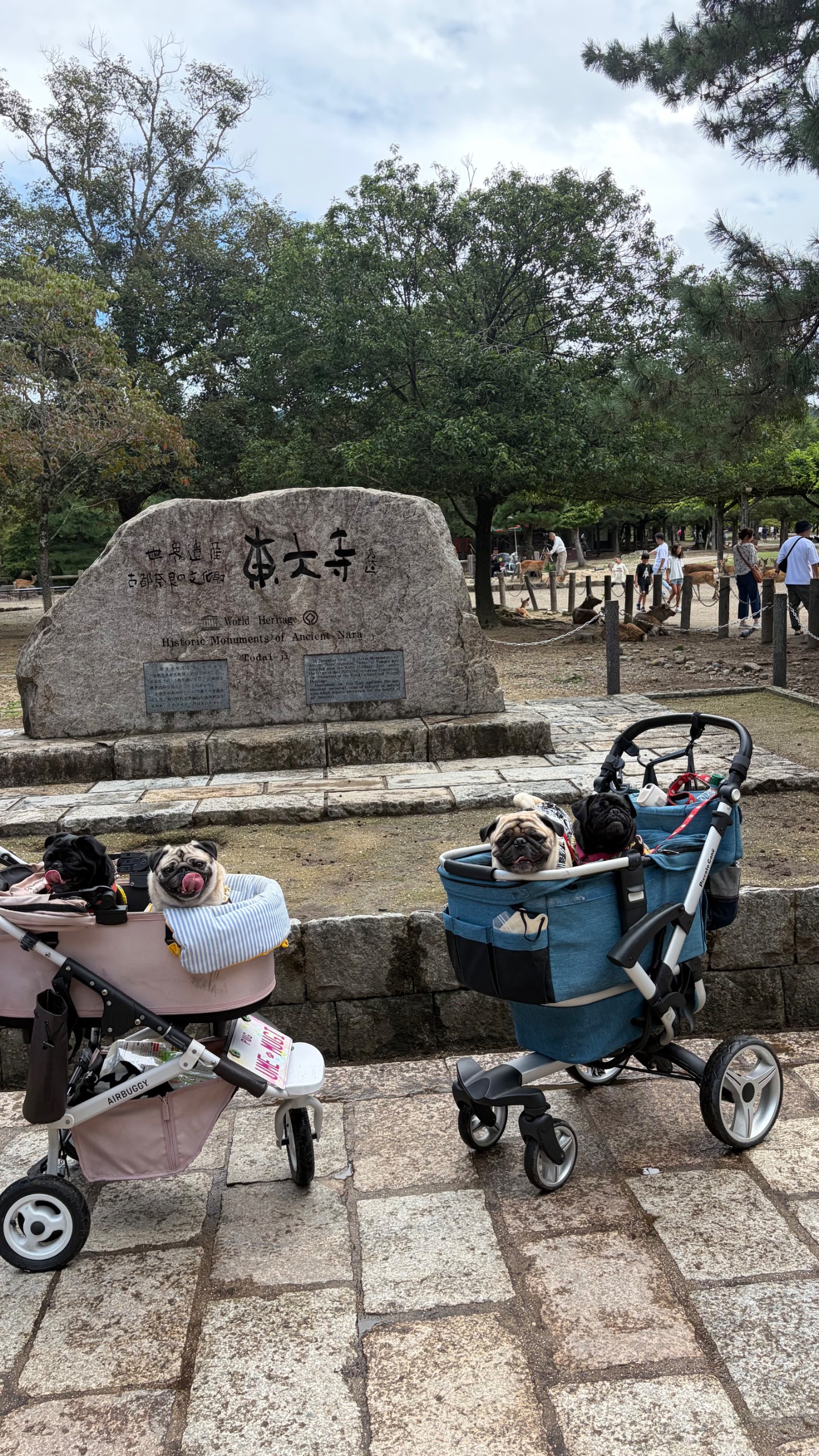 東大寺（奈良公園）