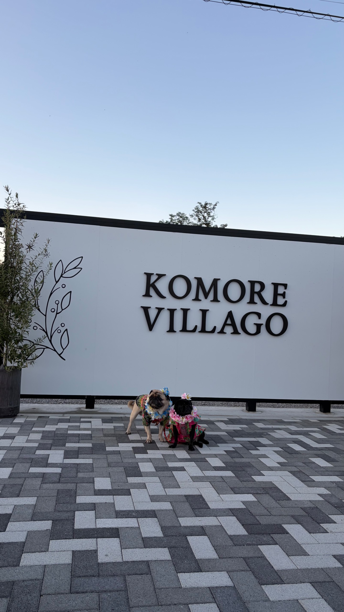 KOMOREVILLAGO コモレヴィラーゴ