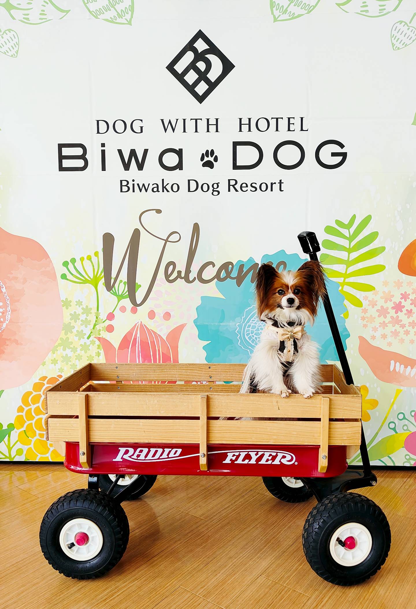 Biwa DOG(ビワドッグ)