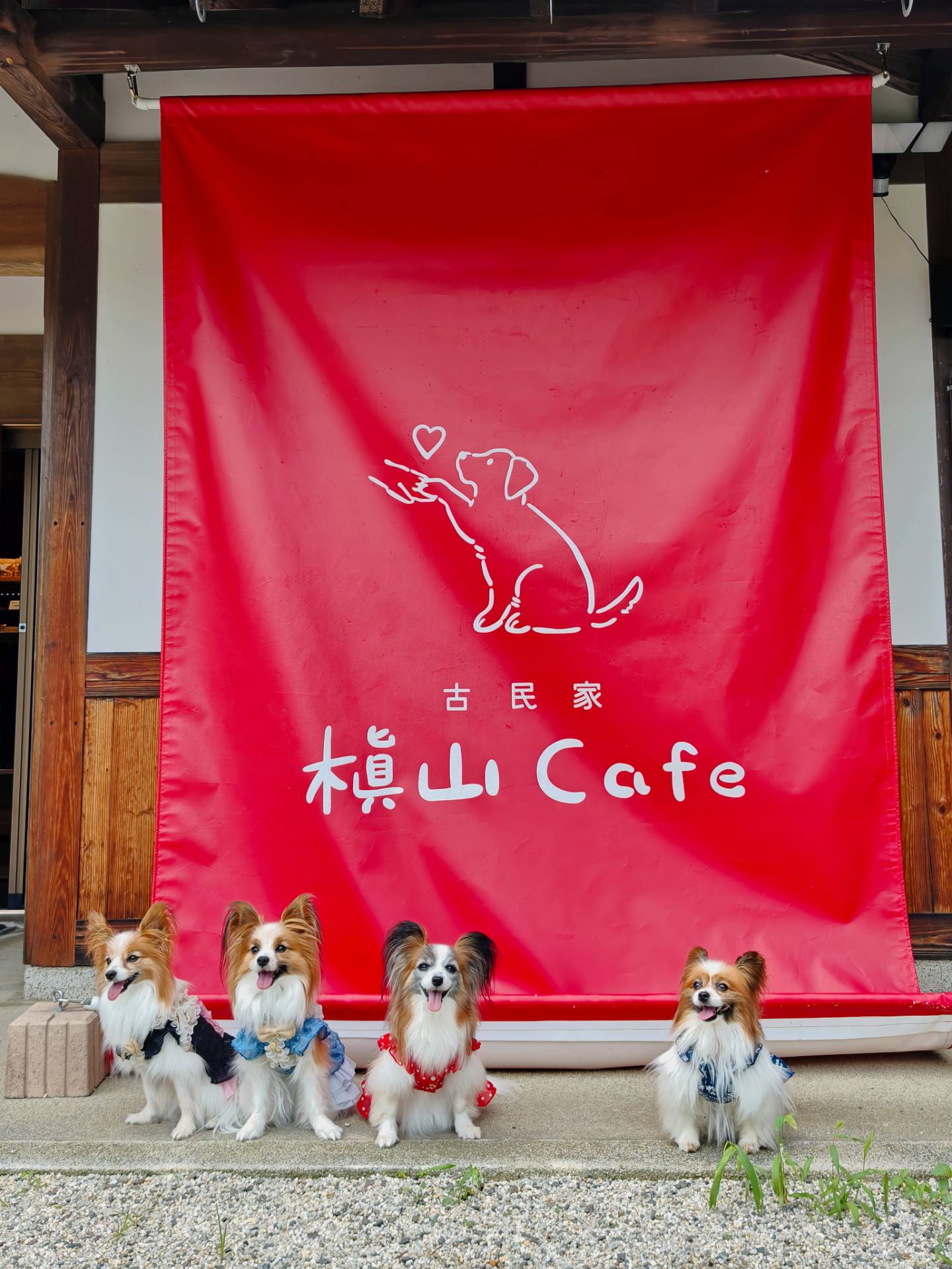 古民家 槇山Cafe