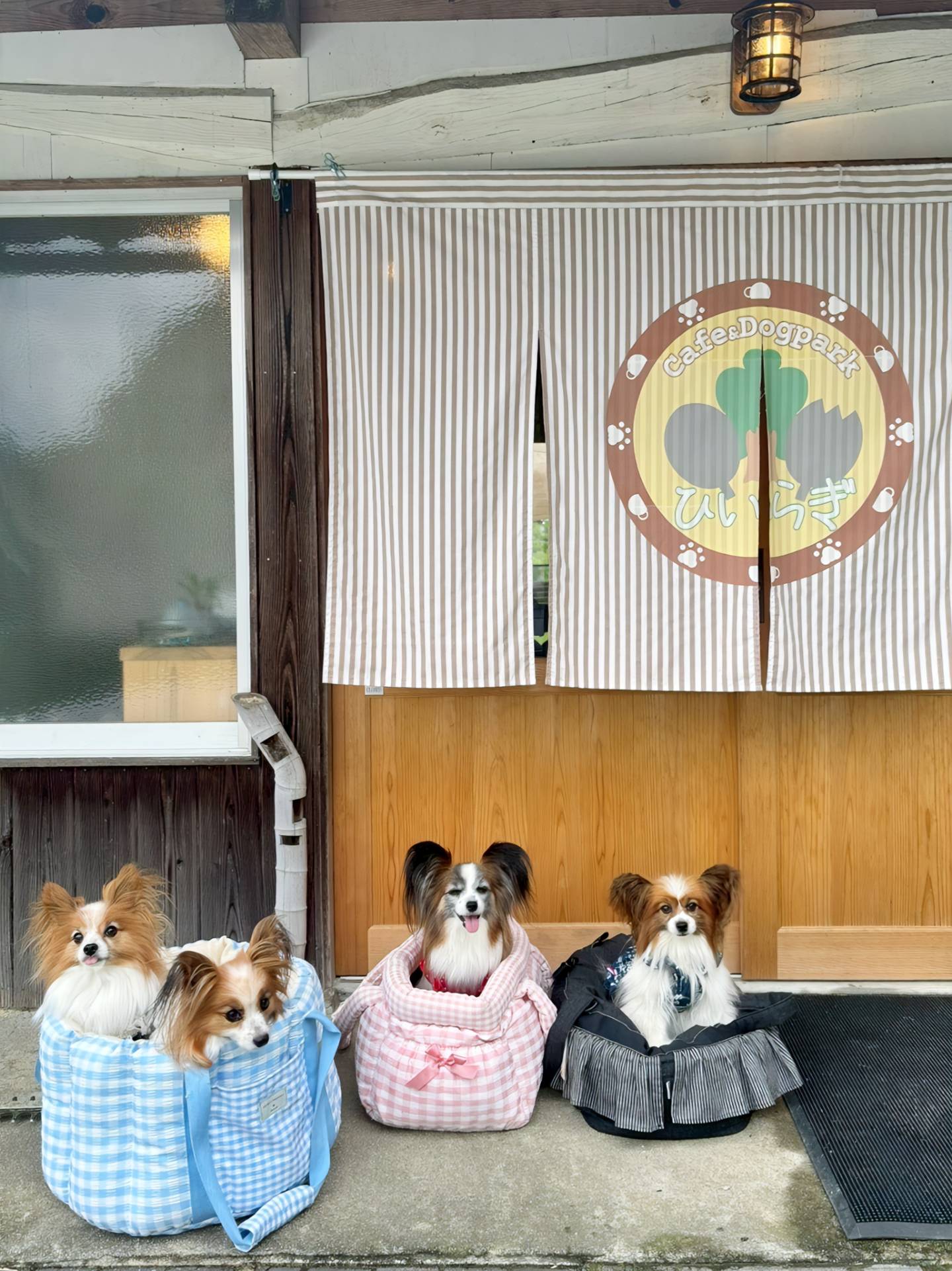 Cafe ＆ DogPark ひいらぎ