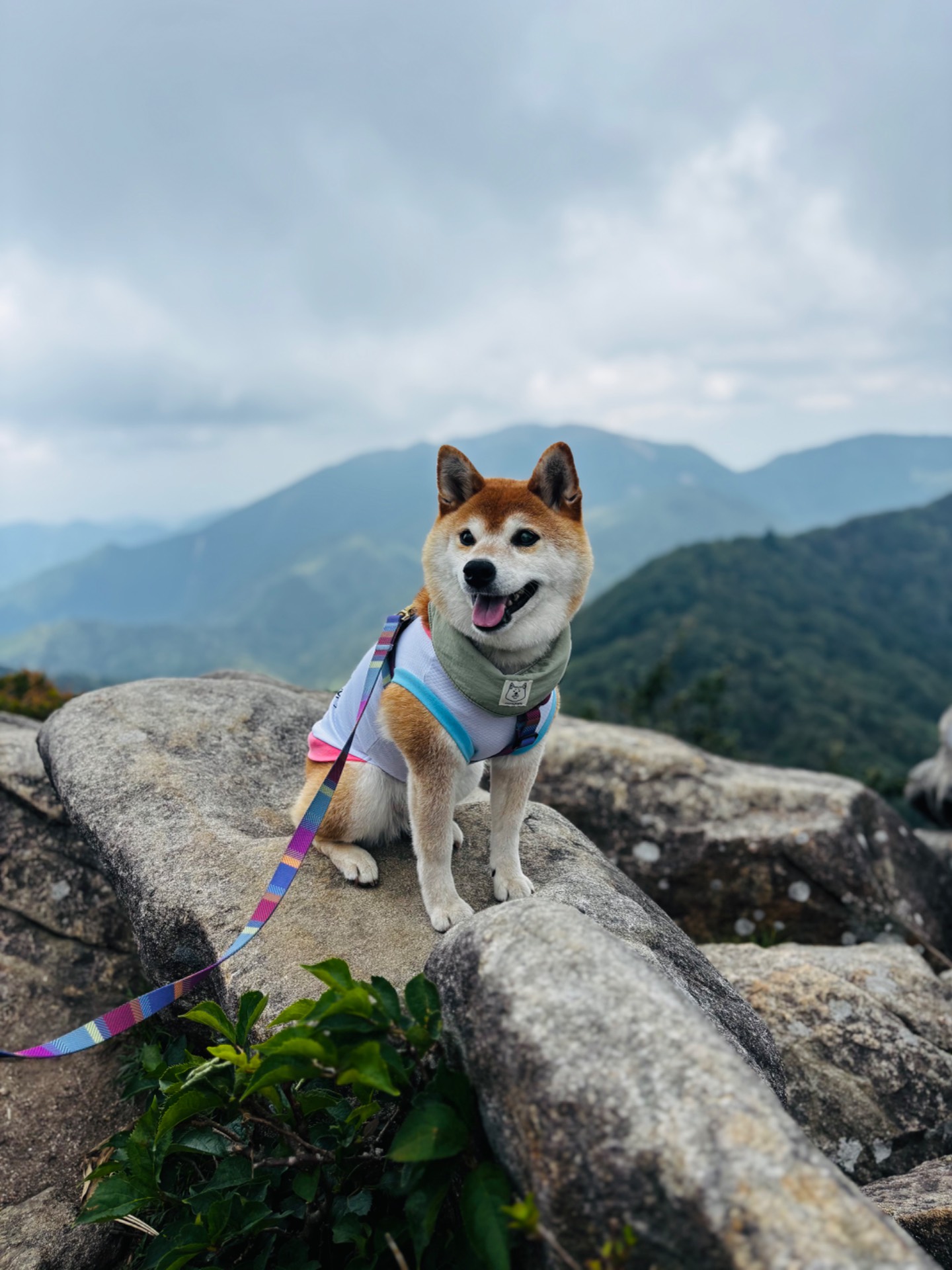 御在所山上公園